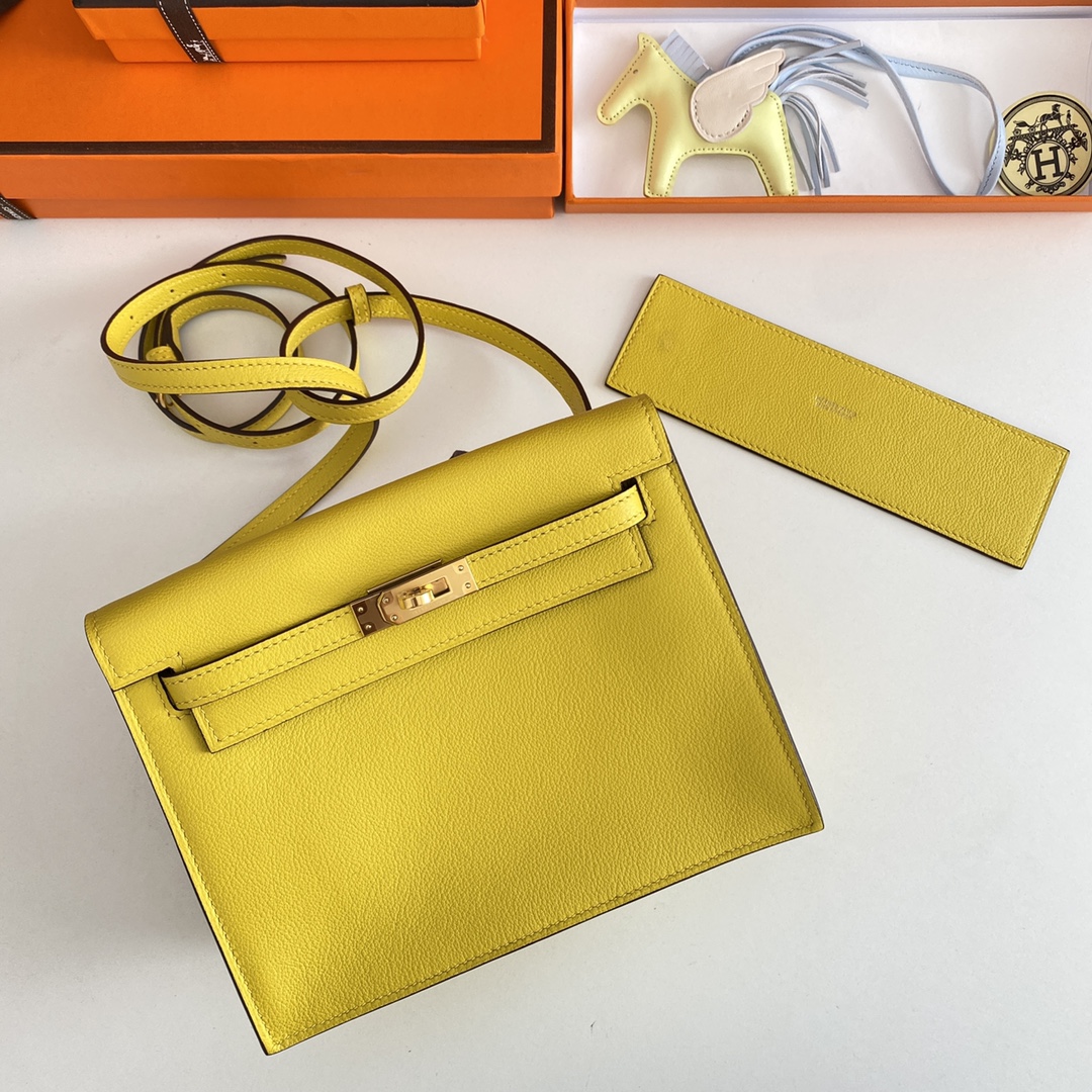 Hermes Kelly Danse Evercolor Bag In Yellow Color